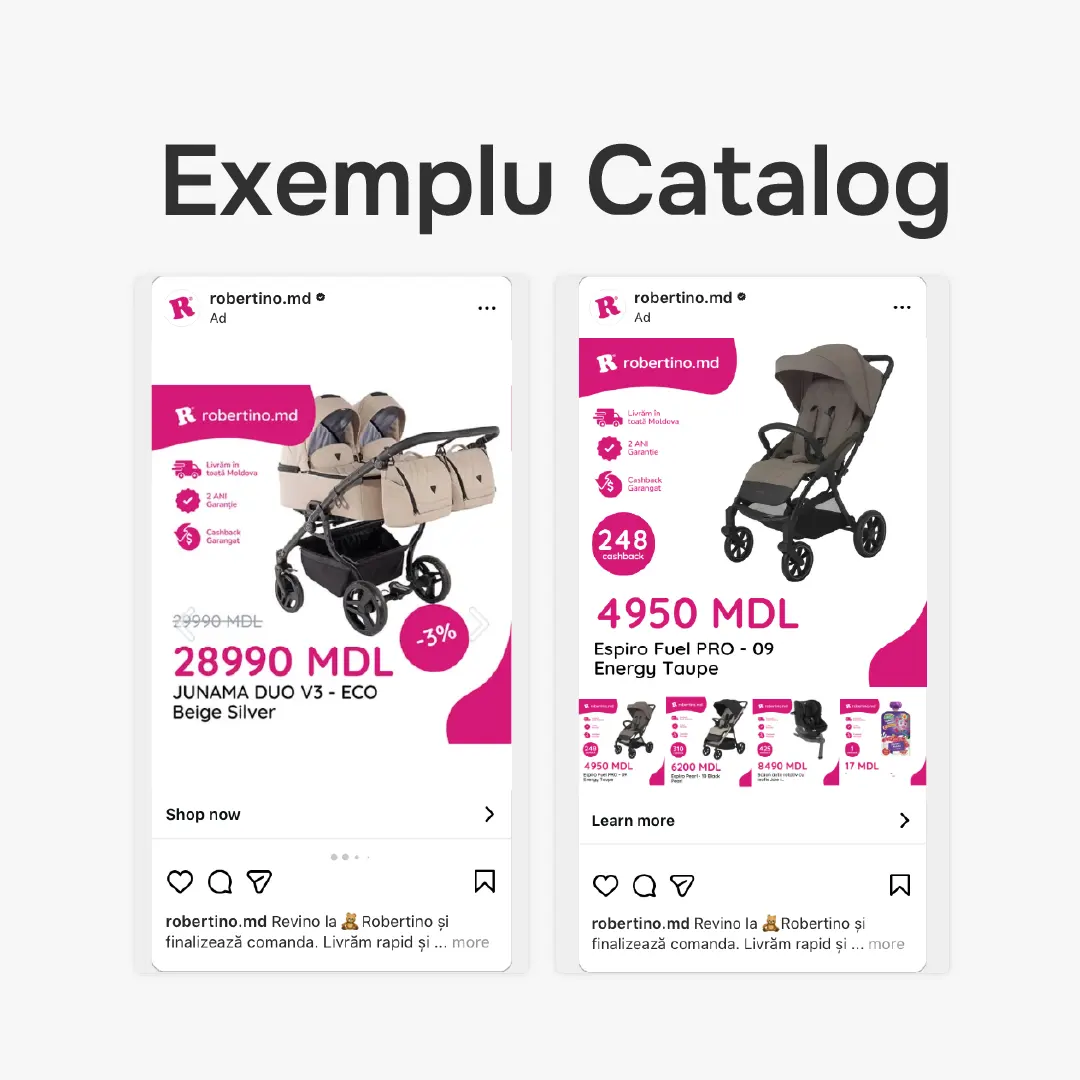 Exemplu Catalog Ad